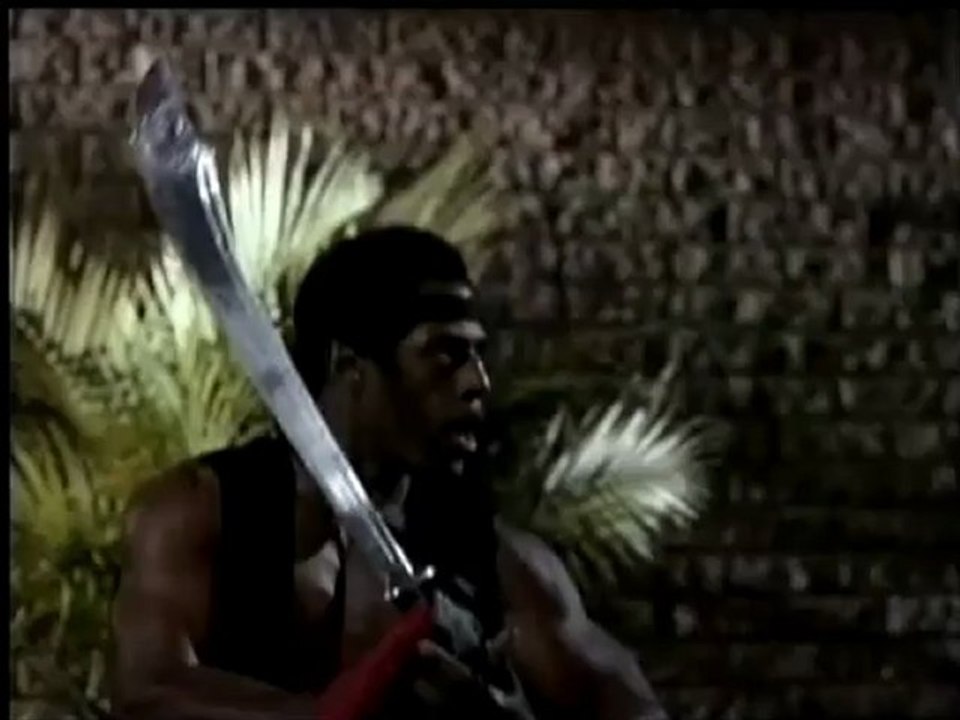 Steve James - Fight