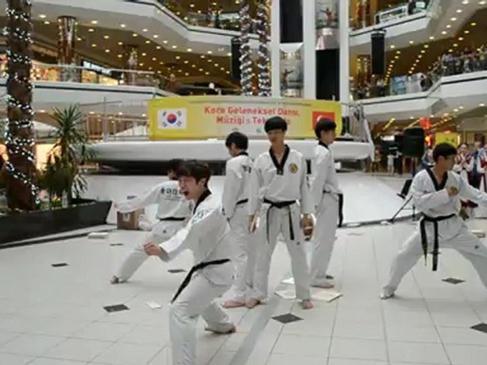 İstanbul - Busan Kardeş Şehir 10. Yıl Kutlamaları - Tekvando Gösterisi  Part 1