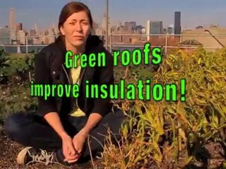 Eagle Street Roof Top Garden