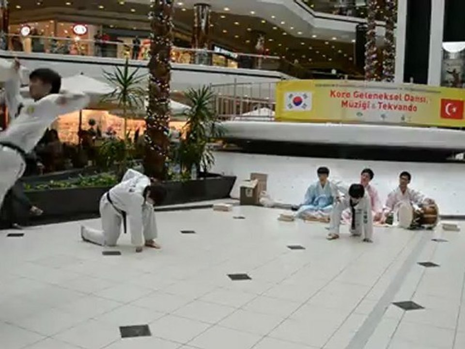 İstanbul - Busan Kardeş Şehir 10. Yıl Kutlamaları - Tekvando Gösterisi Part 2