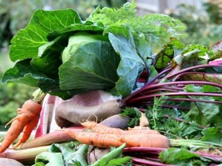 Vegetable Gardening For Beginners