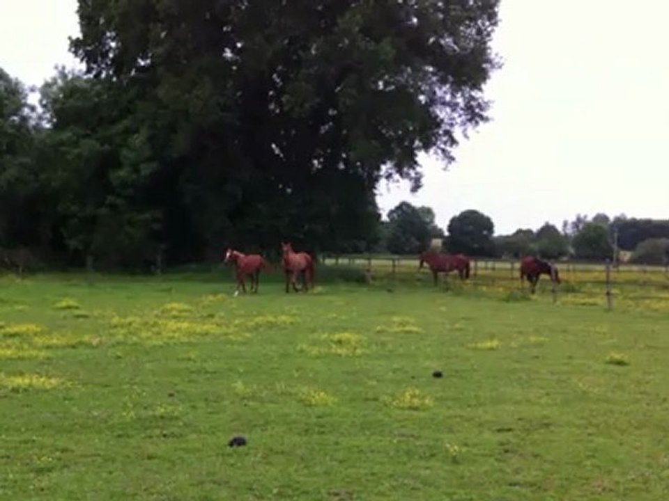 Chanceux, Whaida, Mienda