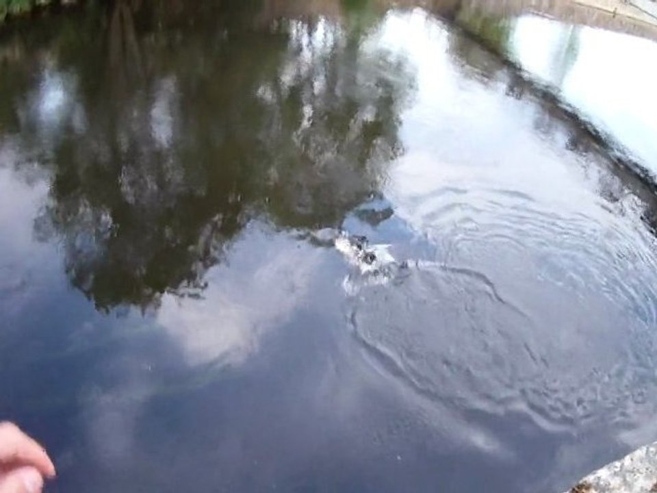 parc d'eau vive lochrist mai 2012 (1)