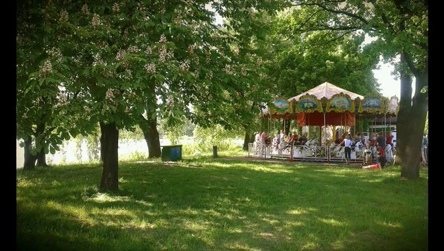 Mój film-20120523-0845