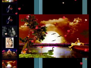 ŞİMALGÜNEY(ELVEDA )