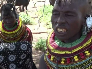 Africa's largest wind farm will blow fossil fuels away