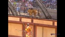 Les Fauves, lions et lionnes (Le Signe du Triomphe) du Puy du Fou