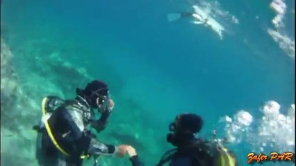 AYVALIK'ta DENİZ-TEKNE-SUALTI BAŞKA GÜZEL