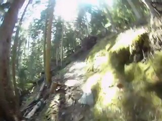 Sortie Trail avec Yankee