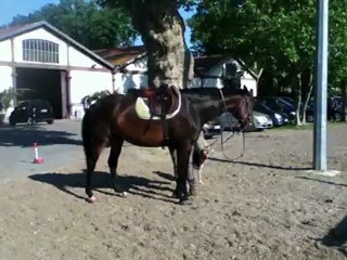 cours du 27 mai 2012 avec N