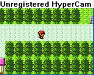 [Test]Pokémon Or sur GameBoy