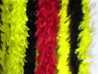 "Plumes, promenade avec ailes"