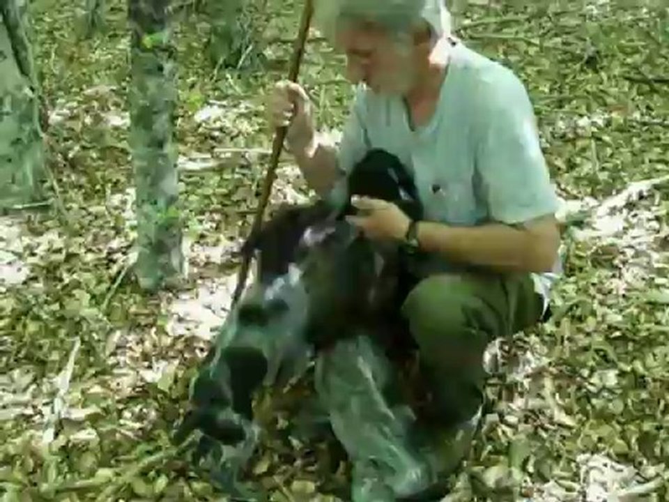 BEBES SORTIE LE 26 ET 27 MAI