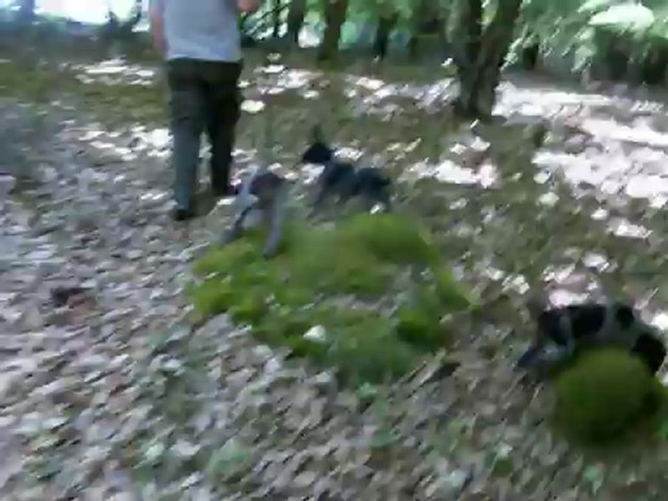 BEBES SORTIE LE 26 ET 27 MAI