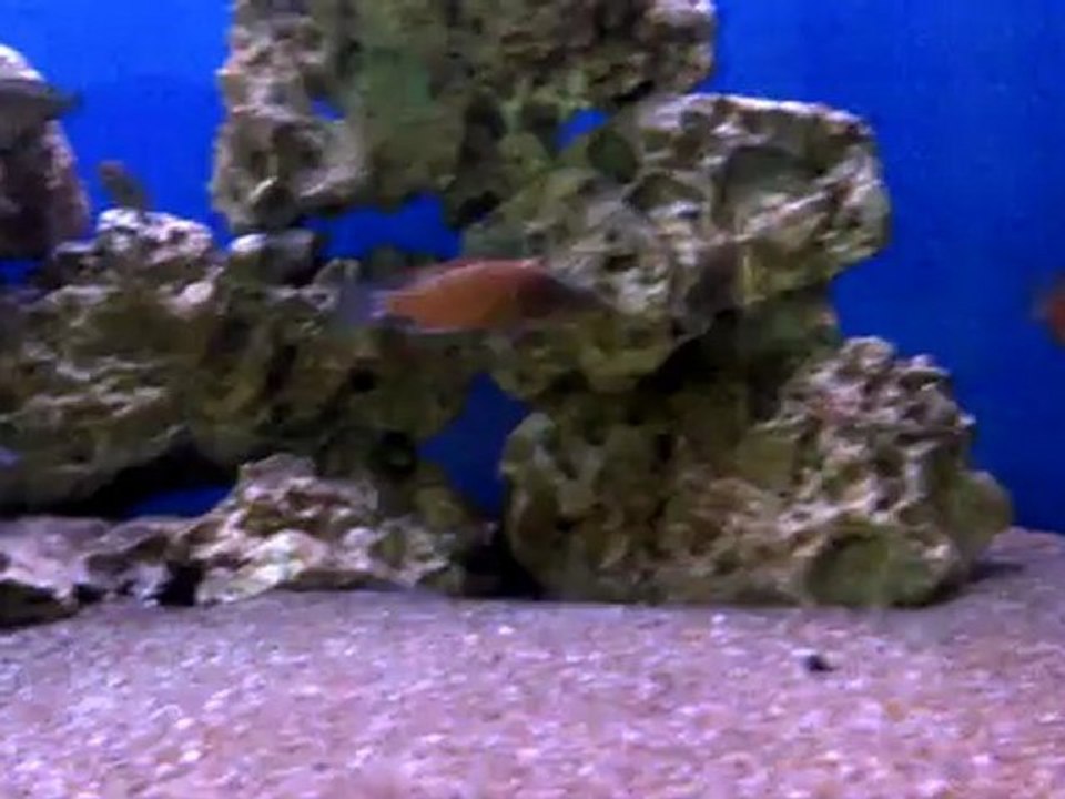 VID-20120527-00001
