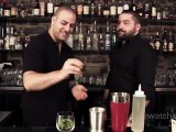 Mint Julep Cocktail: Recipe