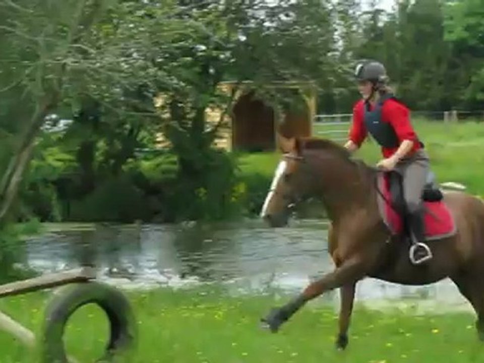 quanaille en cross