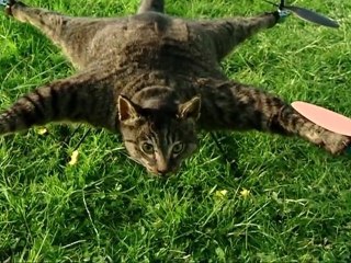 Le Chat Hélicoptère