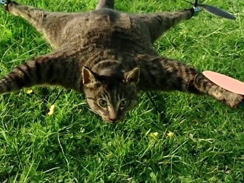 Le Chat Hélicoptère