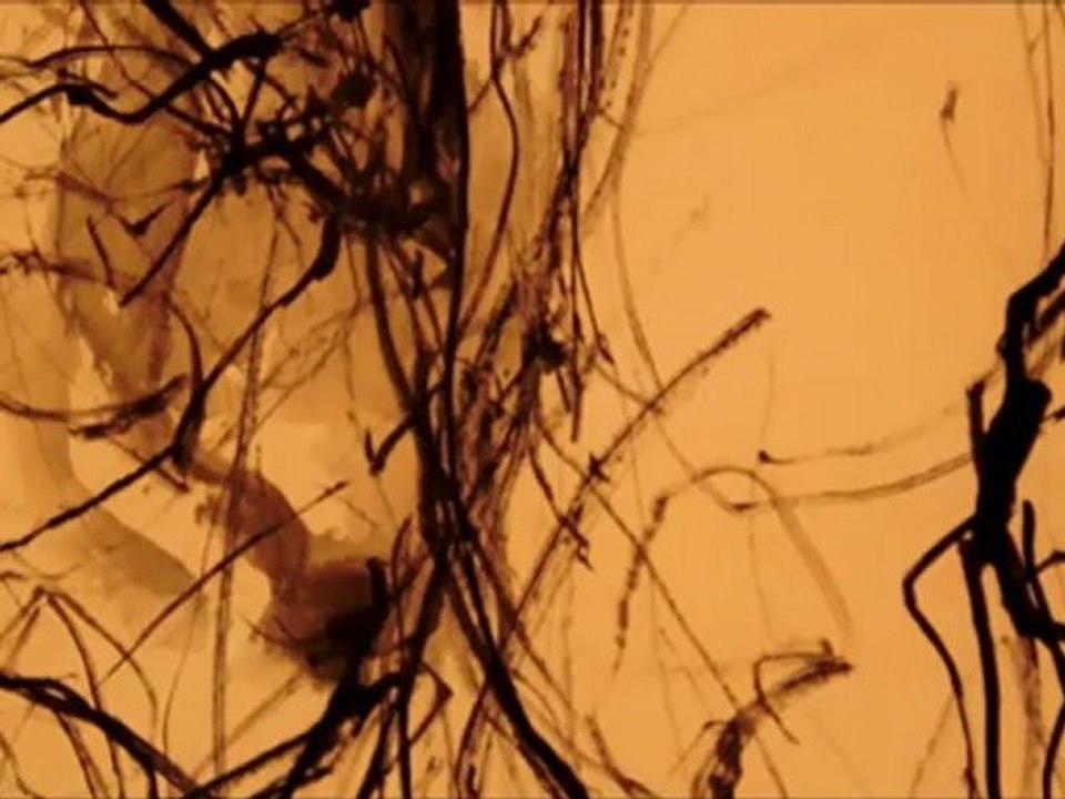 exposition "Comme un funambule"