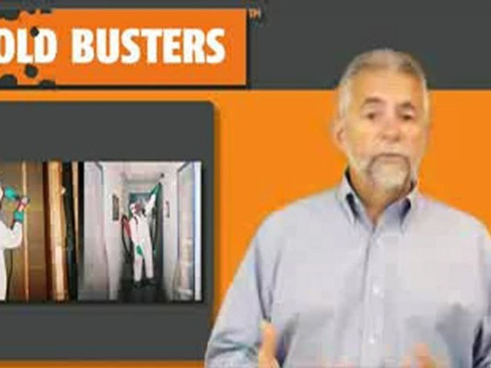 It's not mold until it's tested - Mold Inspection by Mold Busters