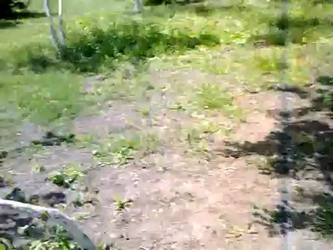 ORDU MESUDİYE ERİK KÖYÜ GENÇLİK KOLLARI Piknik