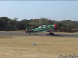 Castrol AT-6 texan Solo