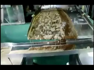 Rape Seeds Oil Press