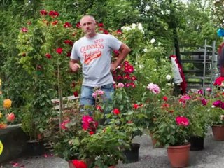 foire aux plantes web