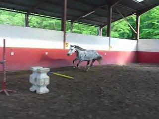 Saut en liberté 15/05