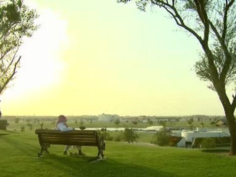 Counting the cost of Gulf dust - 29 Jun 09