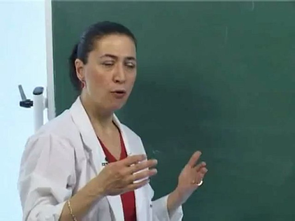 1-Sosyolojiye Giriş