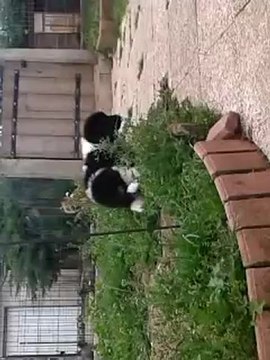 video-2012-05-28-14-33-28