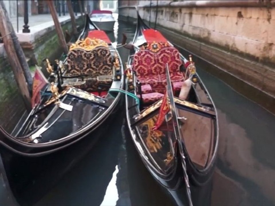 Color of Venise 2012