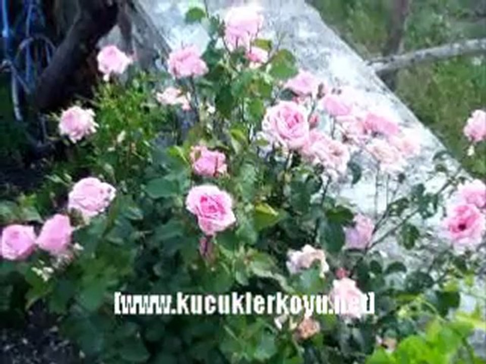 KÜÇÜKLER KÖYÜ AKŞAMA DOĞRU