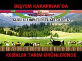 KESİKLER TARIM ÜRÜNLERİ LTD. ŞTİ.