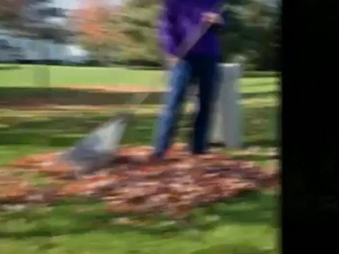 A-1 Economy Gardening - (425) 344-7394