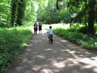 Balade en forêt