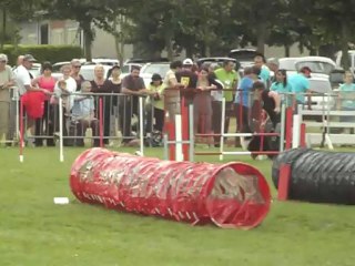 mapy trophée 2012 jumping