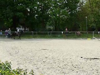 Concours hippique aux Héllandes