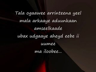 Somali - Lyrics - Song - I love you - By Abba Farah