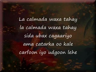 Somali Lyrics  - Song -  Cadar - By Ceegaag