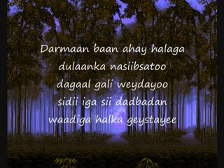 Somali Lyrics - Song -  Darmaan - By Farhia Fiska