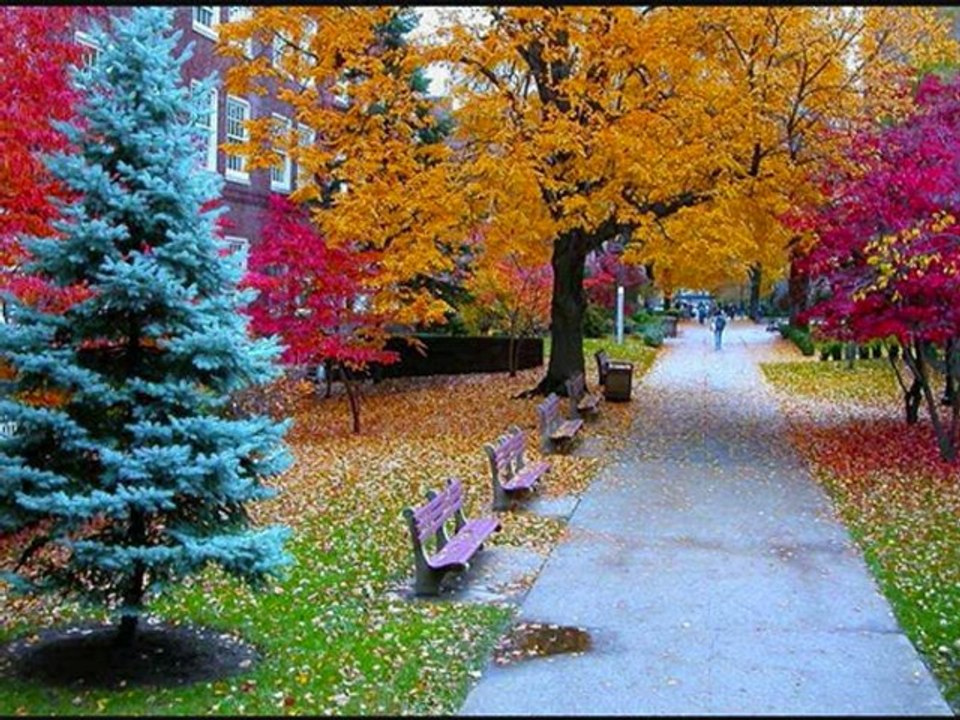 RONDO VENEZIANO (  FLORALIS  /  Yamaha Tyros 2  )