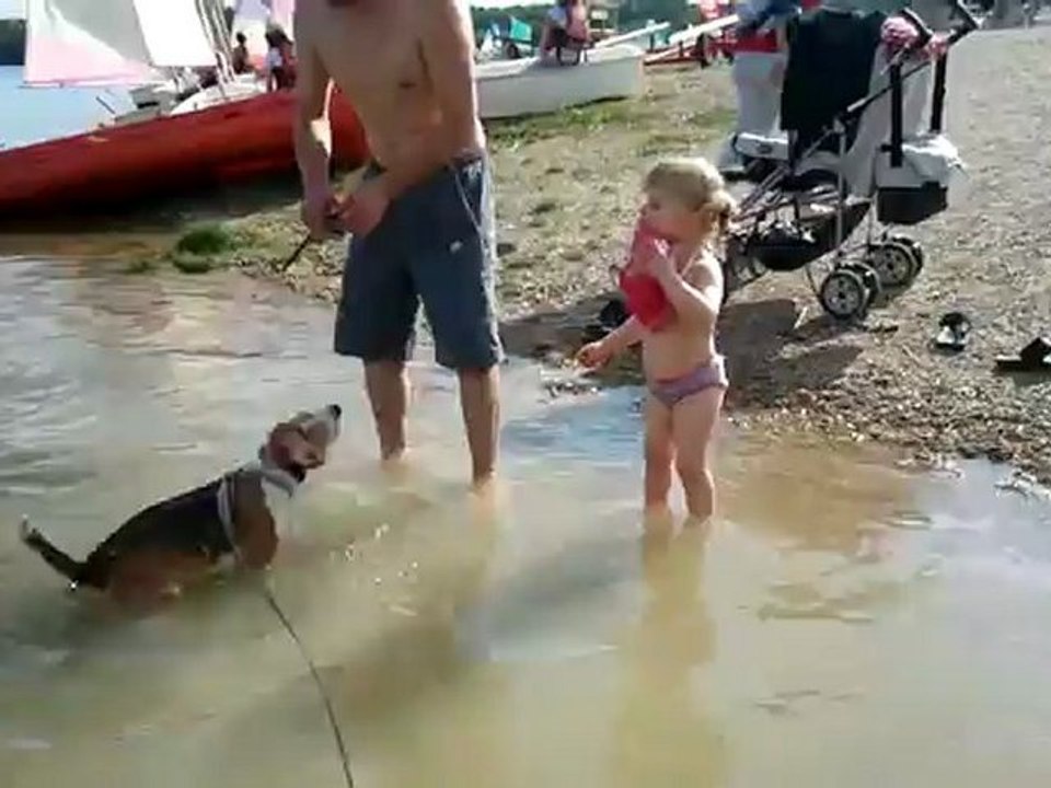 AMAZON Lac du Der 28.05.12