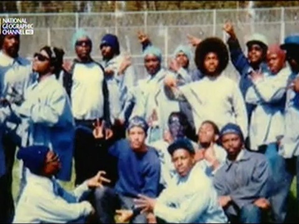 Histoire de Gangs - Los Angeles