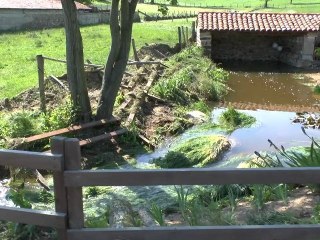 "Flash spécial" Violent orage