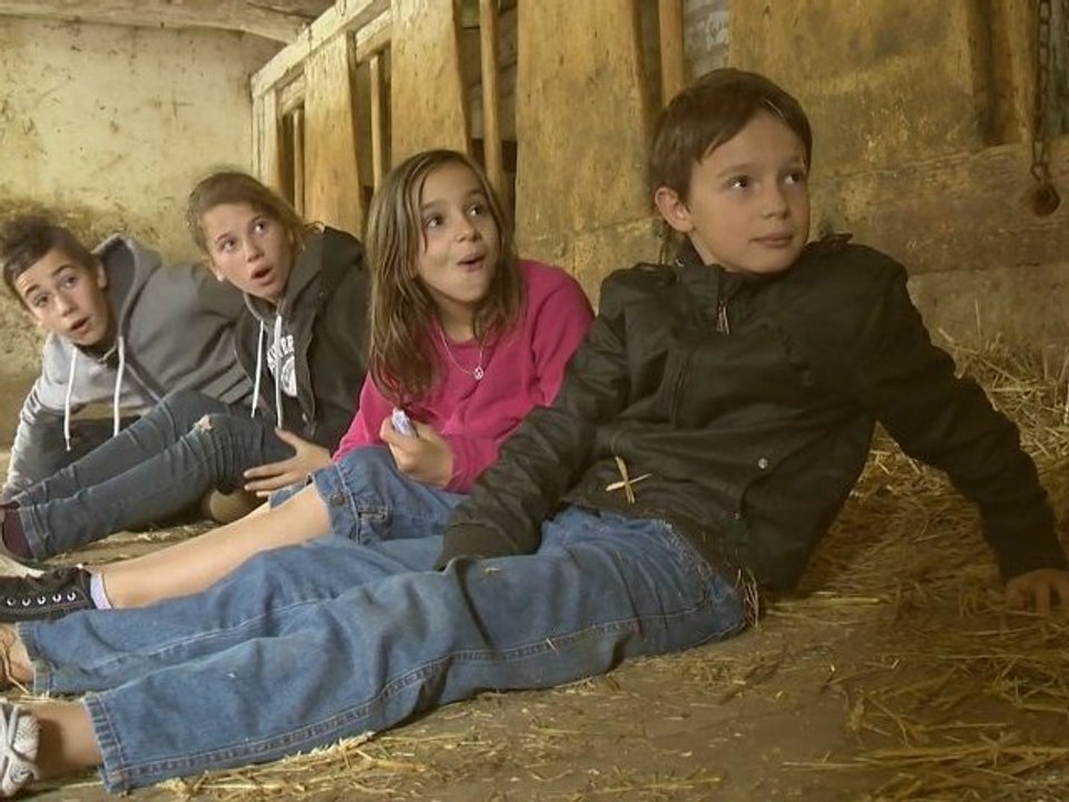 2012, une campagne mortelle