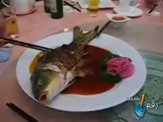 في الصين يأكلون السمك حي -