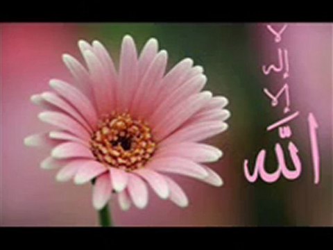 8 SURATS FATHIA WAQIYA KAFIROON IKHLAS FALAQ NAS KUSAR ANSR .